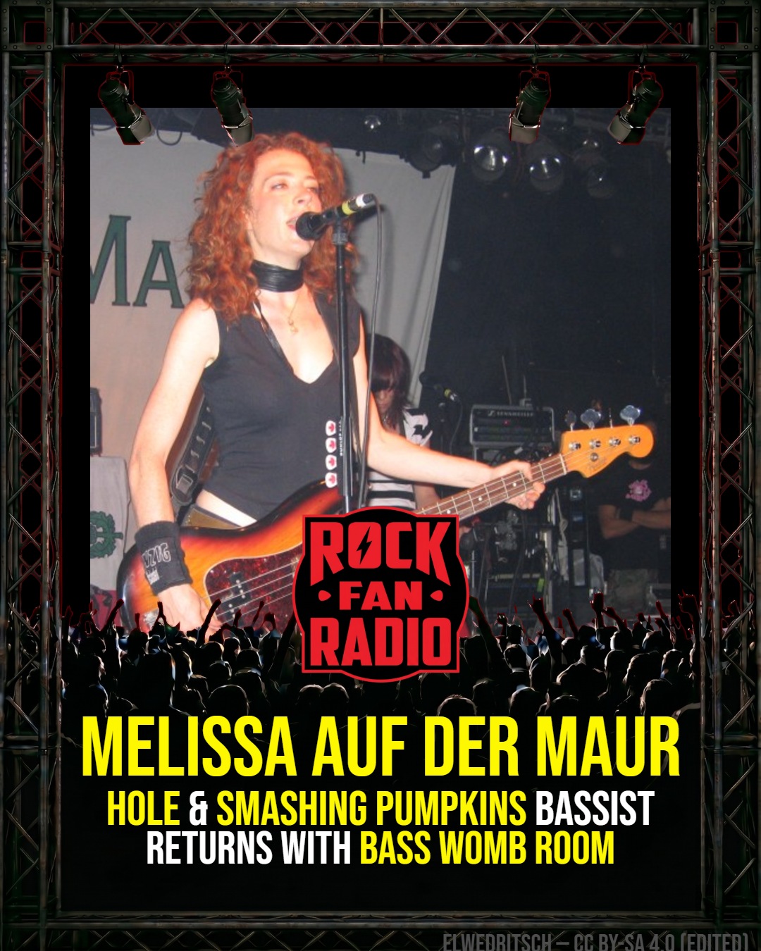 Hole & Smashing Pumpkins Bassist Melissa Auf Der Maur Returns With ‘Bass Womb Room’